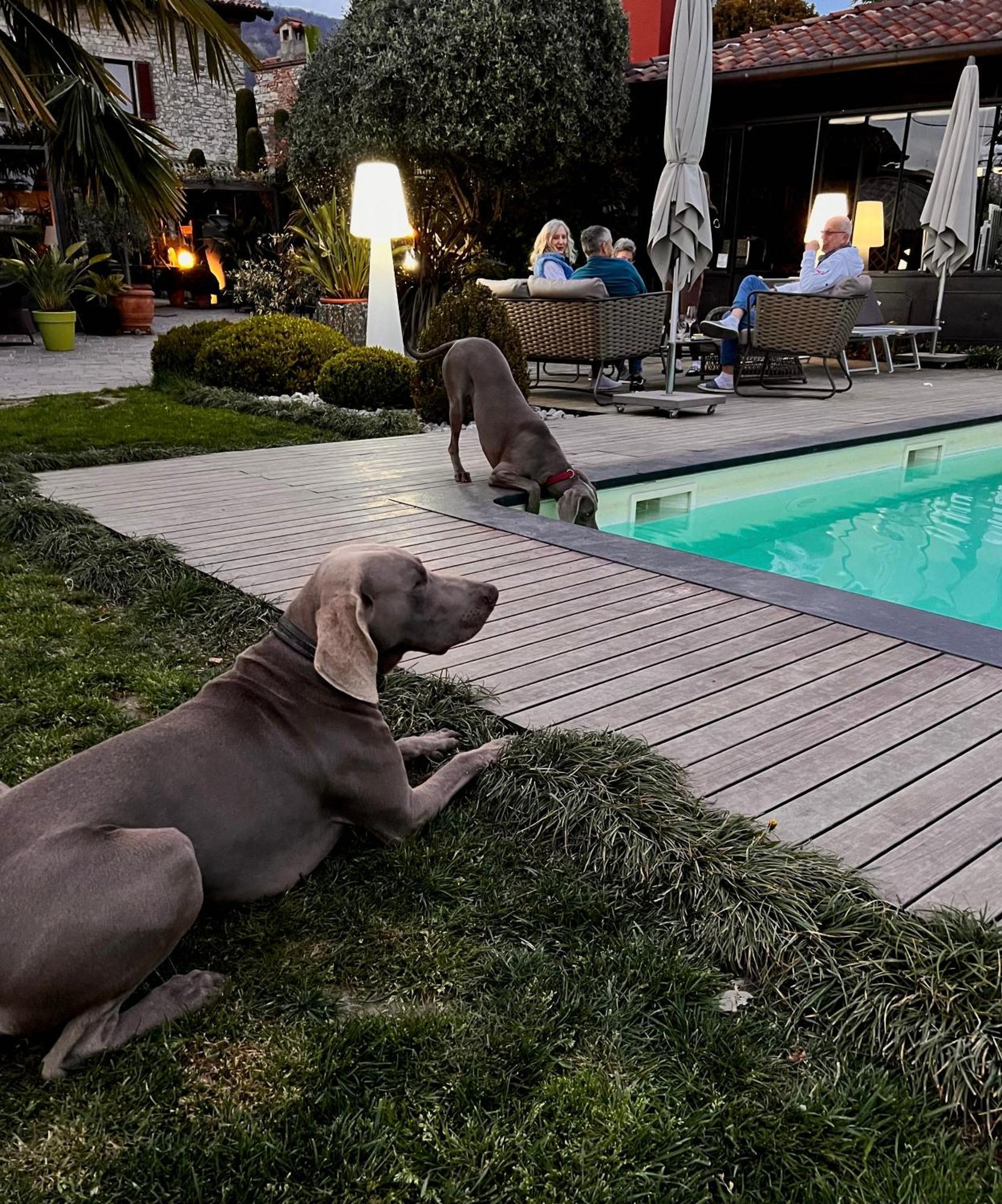 Heidi Bed And Breakfast Albavilla Dış mekan fotoğraf